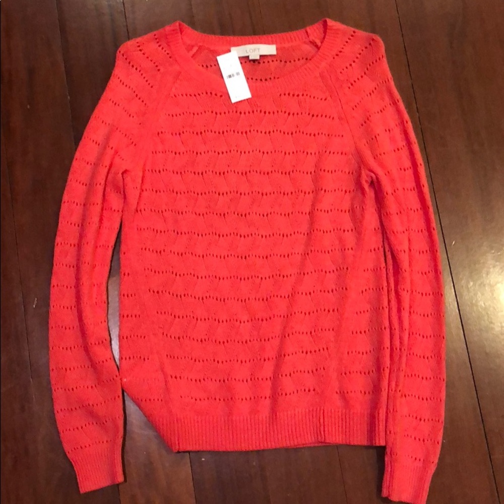 Salmon Loft Sweater